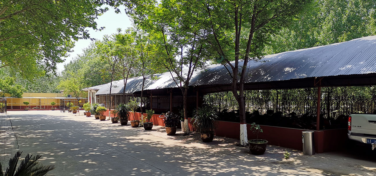 挖掘機(jī)大長(zhǎng)腿改裝